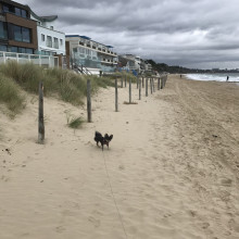 Poole Beach