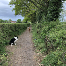 Henfield & The River Adur