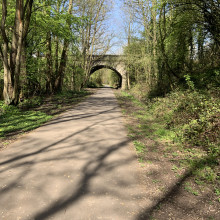 The first part of the track between The Avenue and Boggs Lane entrances in Starbeck