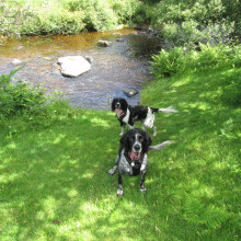 Badgworthy Water, Malmsmead, Exmoor