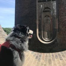 Ouse Valley Viaduct