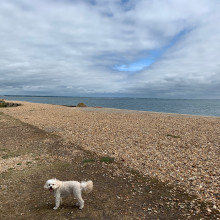 Lepe Beach And Country Park