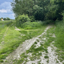 Kingfishers Bridge Nature Reserve