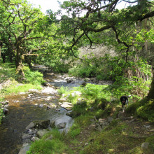 Badgworthy Water, Malmsmead, Exmoor