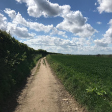 Grange Barn & Paycockes Circular Walk