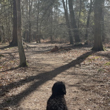 Hartland Country Park