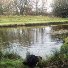 The canal swimming is my favourite