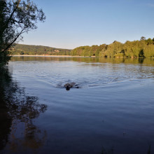 Blagdon Lake - Super Loop