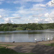 Brereton Lake, Congleton