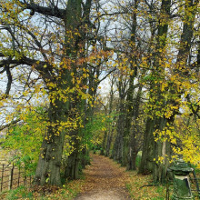 Calke Abbey