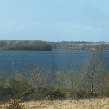 View of Rutland Water between Manton Bay and Lyndon Visitor Centre
