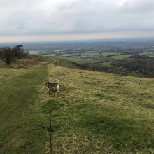 Ditchling Beacon