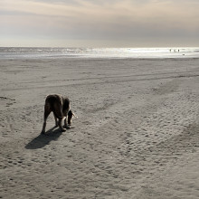 West Beach, Littlehampton