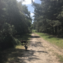 Peanut with her friend Maisie