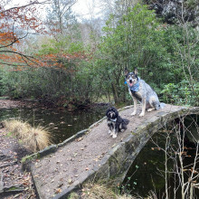 Sandgate Park ‘Fairy Bridge’ Circular Walk