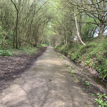 Part of the Starbeck end of the track. Spring 2019