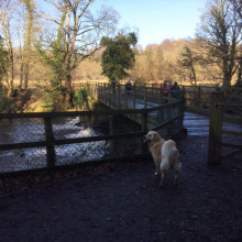 Knaresborough, Nidd Gorge & Old Bilton Circular