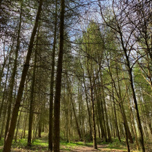 Oakthorpe Colliery and picnic site