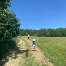 Oakthorpe Colliery and picnic site