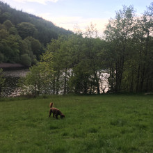 Henry exploring at the reservoir