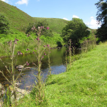 Badgworthy Water, Malmsmead, Exmoor