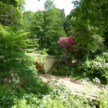 Jesmond Dene