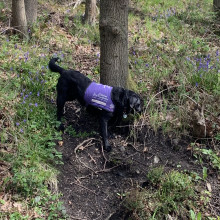 Lexi enjoying exploring the area