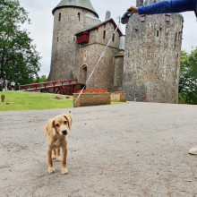 Castell Coch