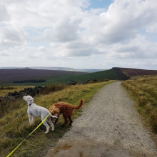 Stanage Pole