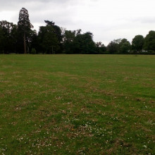 Trees in the easternmost part of the park